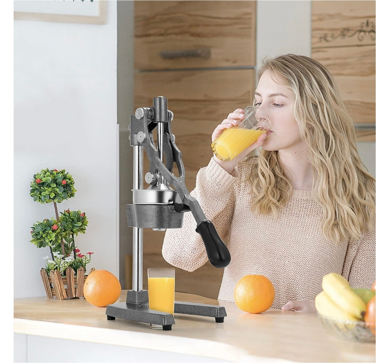 STORCATOR MANUAL PROFESIONAL DIN FONTA SI OTEL INOXIDABIL - PRESA PENTRU CITRICE