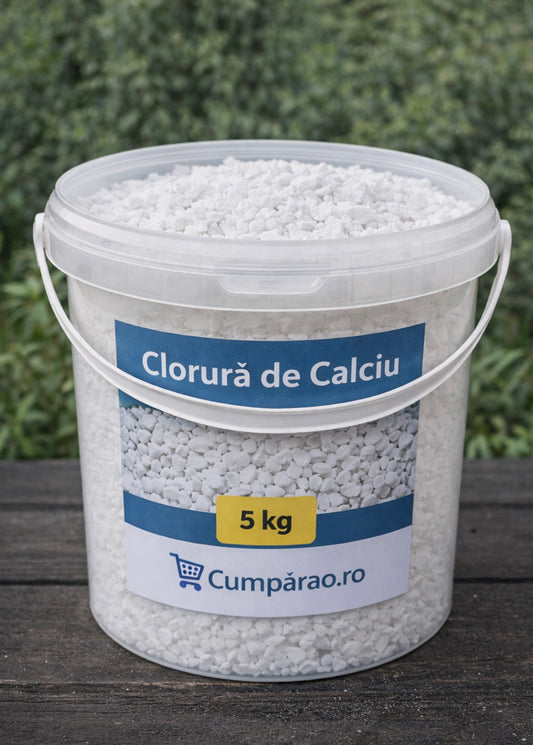 Spune ADIO gheții și umezelii – Soluția profesională este aici!