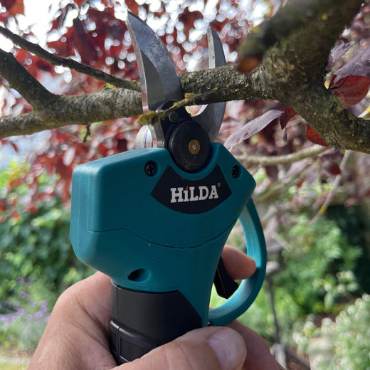 Extrem de eficientă 