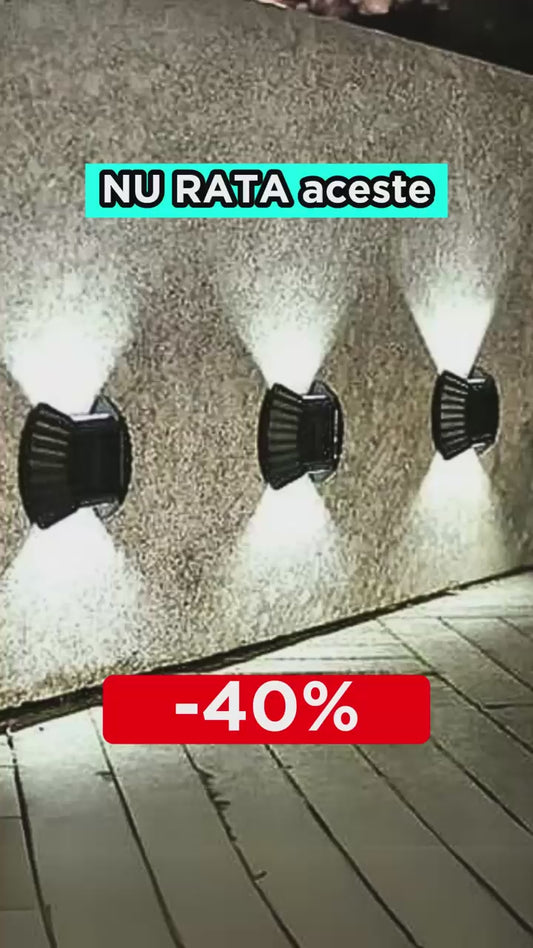 SET 8 LAMPI SOLARE IN FORMA DE SCOICA